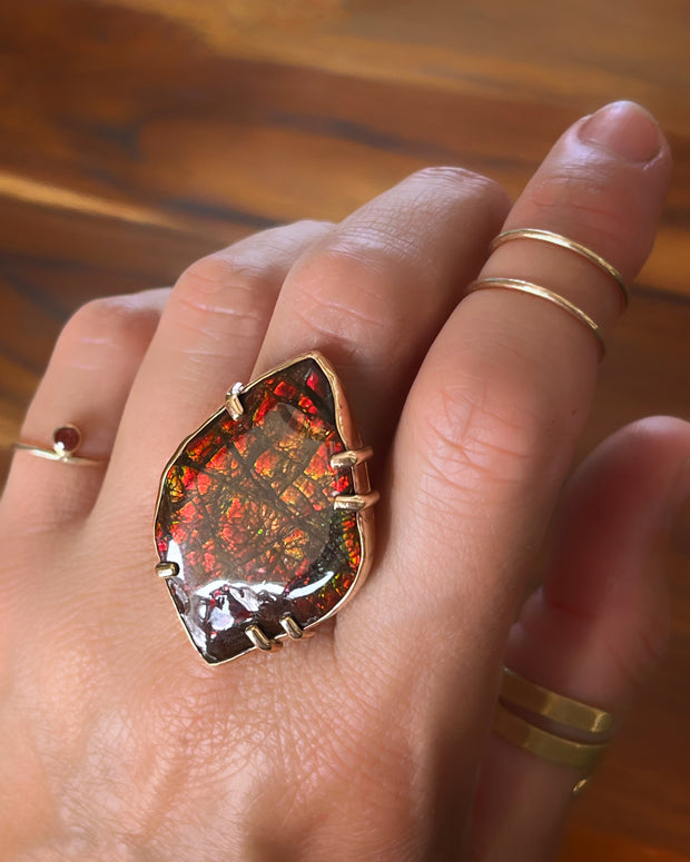 RARE ammolite ring in 14K gold-fill (sizes 6 to 9)