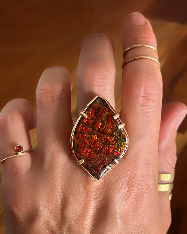 RARE ammolite ring in 14K gold-fill (sizes 6 to 9)