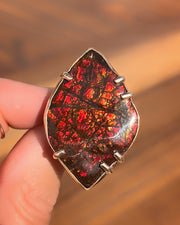 RARE ammolite ring in 14K gold-fill (sizes 6 to 9)