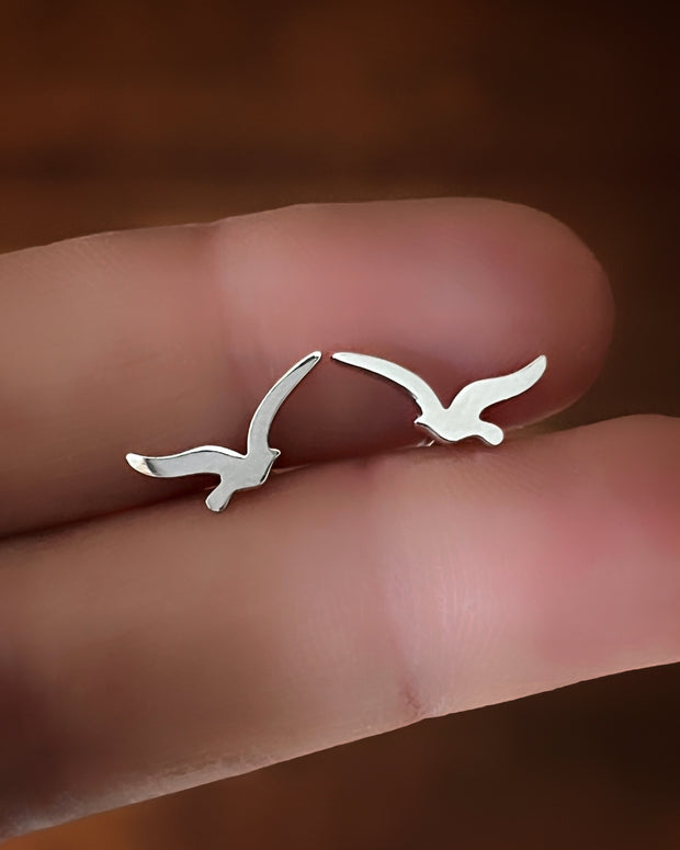 Seagull studs in silver