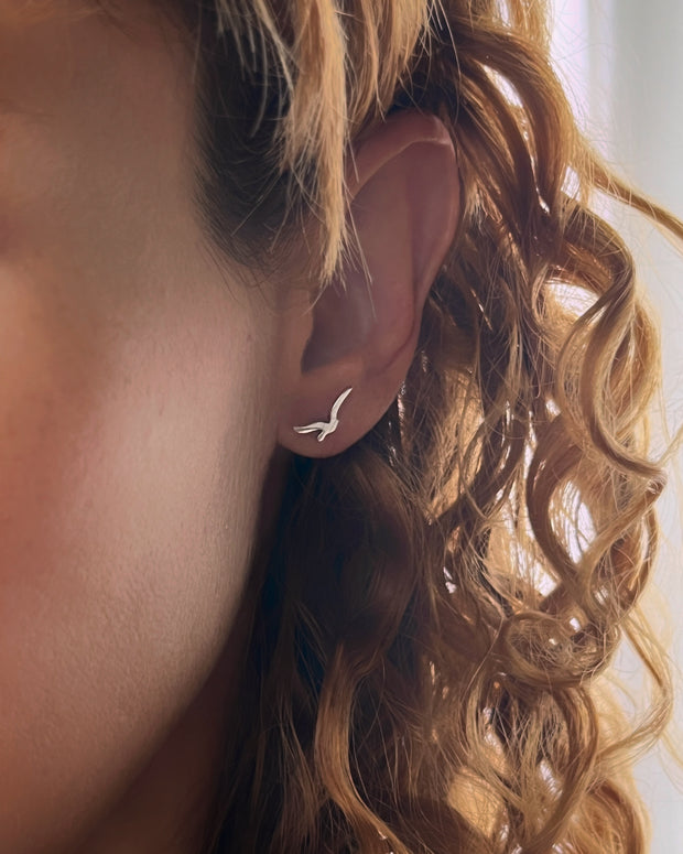 Seagull studs in silver