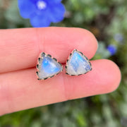 Moonstone triangle studs in silver